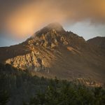 Poetic Guide: Peak Petals Whisper