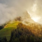 Seasonal Ritual: Fading Ember Tea Ceremony Amid Amber Leaves Seasonal Ritual: Fading Ember Tea Ceremony Amid Amber Leaves