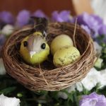 Eco How-To: Twigs, Twine & Threads: Weaving Wild Spaces Eco How-To: Twigs, Twine & Threads: Weaving Wild Spaces