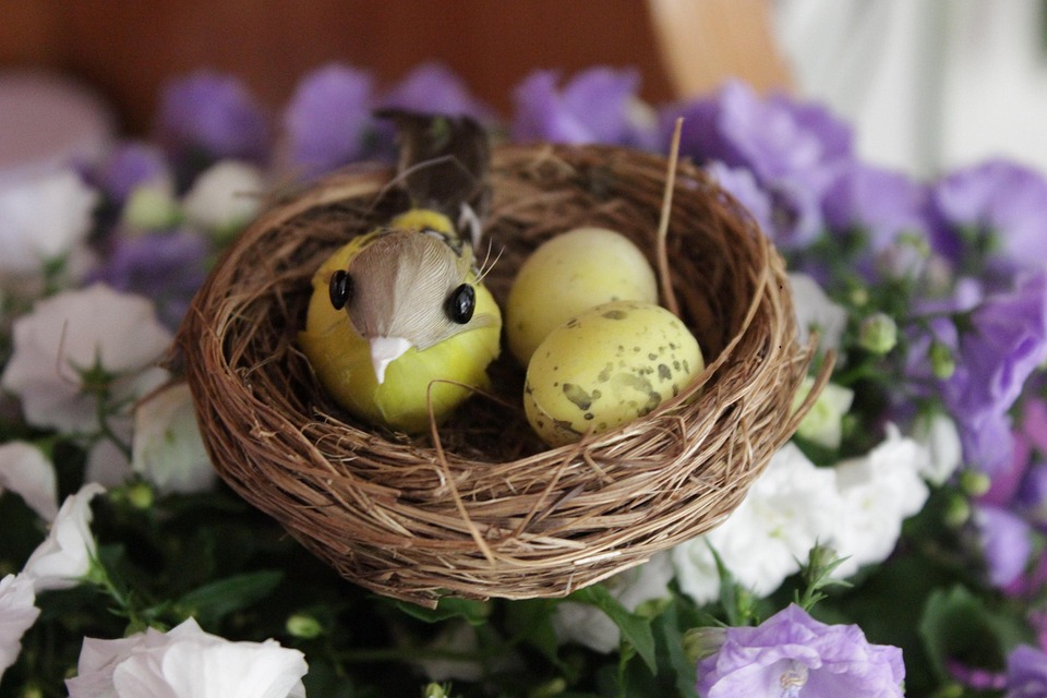 Eco How-To: Twigs, Twine & Threads: Weaving Wild Spaces