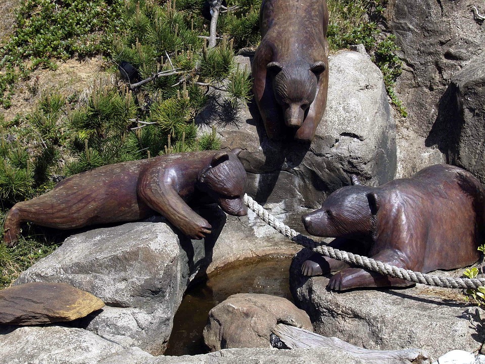 Symbolic Essay: Harmony of Earth and Lichen-Touched Hands