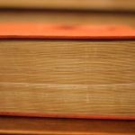 Topic Threads: Five Forgiving Practices when Gardens Falter Beyond.