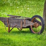 Best Of: 5 Vines for Garden Souls’ Whispered Dreams Best Of: 5 Vines for Garden Souls’ Whispered Dreams