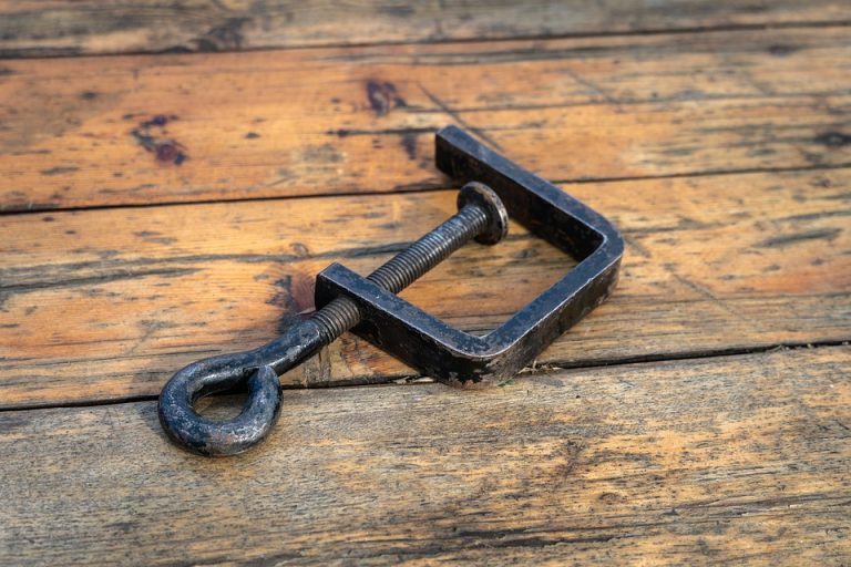 Eco How-To Fabric From Fern Roots