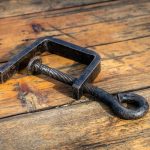 Top 5 Ideas: The Alchemy of Bloom and Root