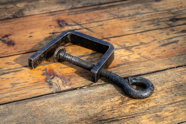 Top 5 Ideas: The Alchemy of Bloom and Root