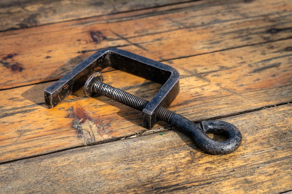 Top 5 Ideas: The Alchemy of Bloom and Root