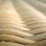 Eco How-To: Foraging Moonlit Moss for Living Tapestries Eco How-To: Foraging Moonlit Moss for Living Tapestries