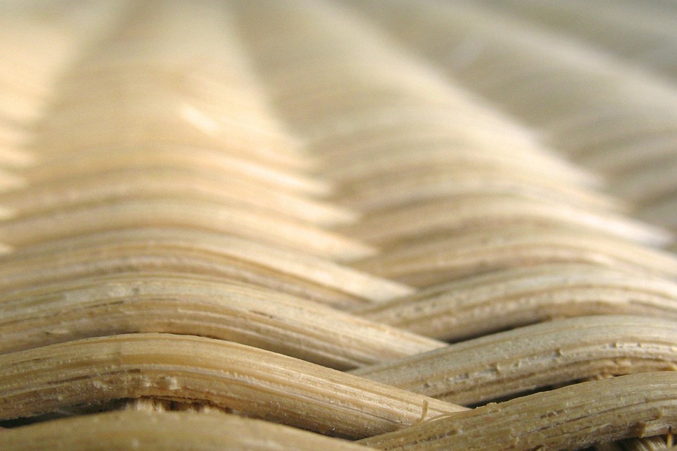 Eco How-To: Foraging Moonlit Moss for Living Tapestries