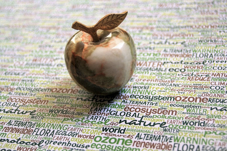 Symbolic Essay: Roots Deep as Anchorless