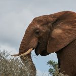 Seasonal Ritual Harvesting Moonlight for Winter’s Hygge Glimmer
