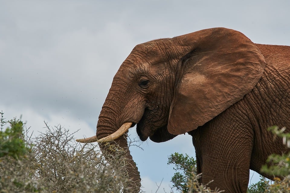 Seasonal Ritual Harvesting Moonlight for Winter’s Hygge Glimmer