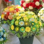 Symbolic Essay: Ember Hues in Wool: Weaving Light’s Path Symbolic Essay: Ember Hues in Wool: Weaving Light’s Path