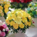 Symbolic Essay: Thistle Petals in Ceramic Veins