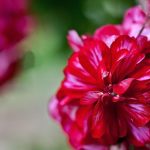 Top 5 Ideas: Terraced Tranquility & Moonlit Ambiance Top 5 Ideas: Terraced Tranquility & Moonlit Ambiance