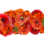 Symbolic Essay On Moonlit Potato Farming