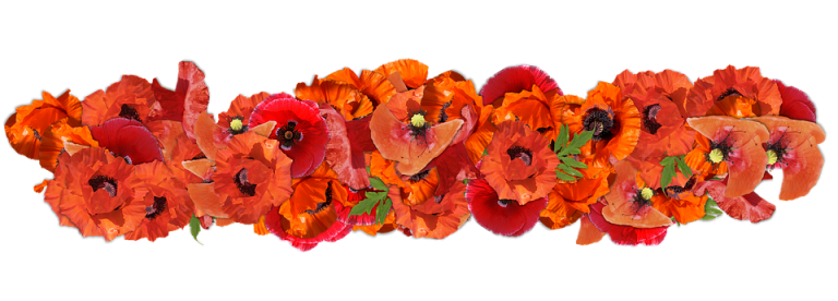 Symbolic Essay On Moonlit Potato Farming