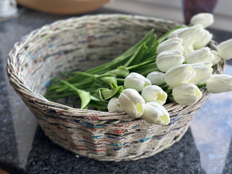 Symbolic Essay: Earth’s Pulse Through Clay and the Rise of Living Roots