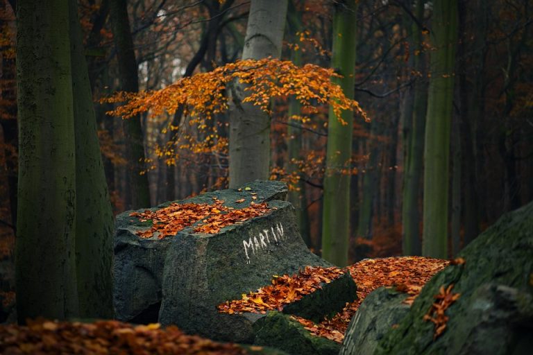 Symbolic Essay Dawn’s Whisper into Earth’s Breath Symbolic Essay Dawn’s Whisper into Earth’s Breath