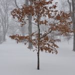 Ask the Experts: How to Tap Into Your ‘Mind of Winter’ Ask the Experts: How to Tap Into Your ‘Mind of Winter’