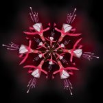 POETIC GUIDE: Nurturing Vertical Gardens in Urban Jungles