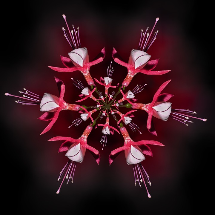 POETIC GUIDE: Nurturing Vertical Gardens in Urban Jungles