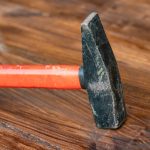 Best Of: Earth’s Palette, Your Hands — A Quiet Union of Seed & Soil