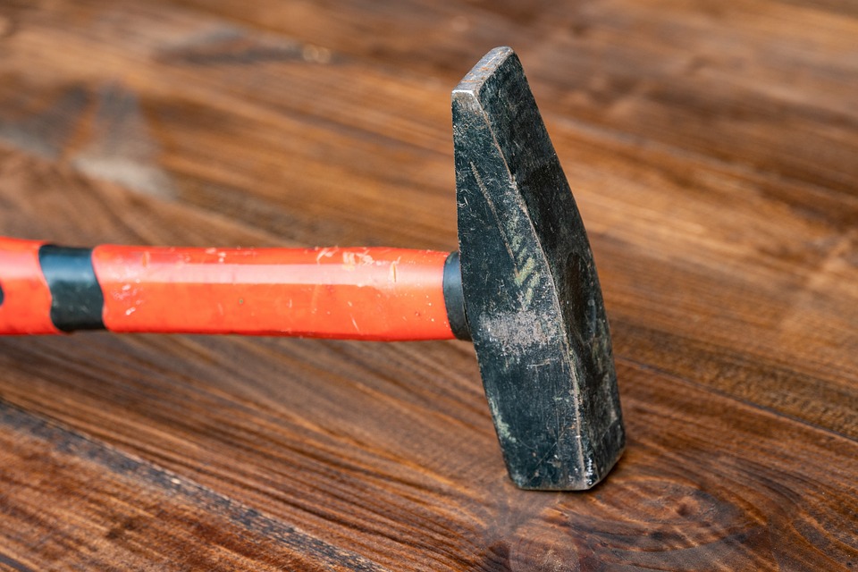 Best Of: Earth’s Palette, Your Hands — A Quiet Union of Seed & Soil