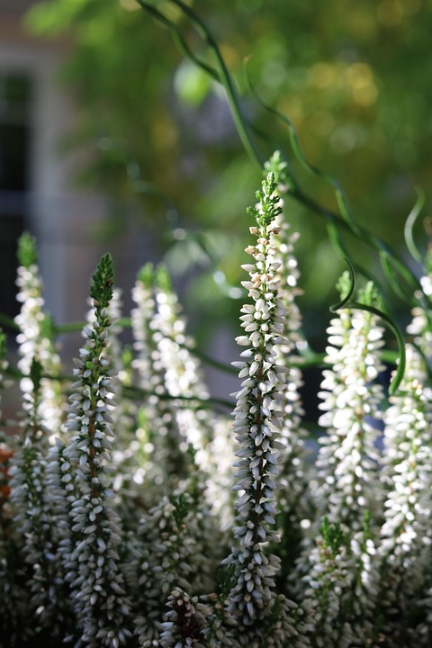 Top 5 Ideas: Secrets Beneath Porcelain Terra Cotta Eyes