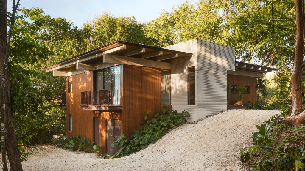 FAMM Arquitectura designs Costa Rican house around trees