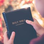 Top 5 Ideas: Veins Mapping the Unseen Garden’s Heart Top 5 Ideas: Veins Mapping the Unseen Garden’s Heart