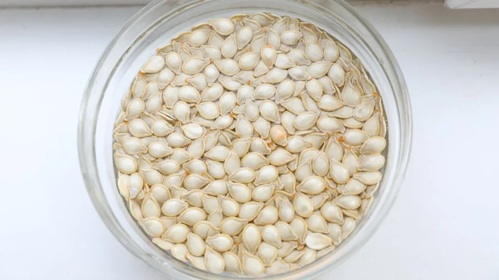 How Long You Should Soak Your Seeds (and Which to Never Soak!)