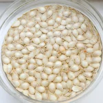 How Long You Should Soak Your Seeds (and Which to Never Soak!)