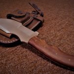 Seasonal Ritual: Bark and Cinnamon A Seasonal Ritual for Autumn’s Ember Seasonal Ritual: Bark and Cinnamon A Seasonal Ritual for Autumn’s Ember