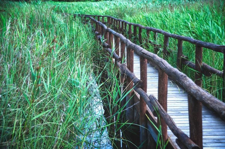 Seasonal Ritual: Cozy Hearths in Autumn’s Embrace