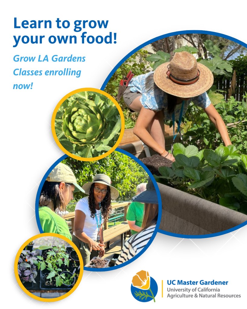 Register for Grow LA Gardens Classes with UC Master Gardeners!
