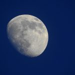 Seasonal Ritual Dusk Embrace Sage Ash