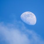 Seasonal Ritual: Autumn Leaf Scattering Meditations for Grounding & Release