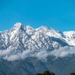 Symbolic Essay: Autumn Veil Journey