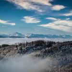 Symbolic Essay on Autumn’s Gold Fragrance & Cloistered Stillness