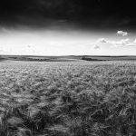 Eco How-To Terraforming ledges Green Eco How-To Terraforming ledges Green