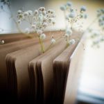 Best Of: Birch Bark Funnels, Firefly Lanterns, and Ambered Clay Dreams Best Of: Birch Bark Funnels, Firefly Lanterns, and Ambered Clay Dreams