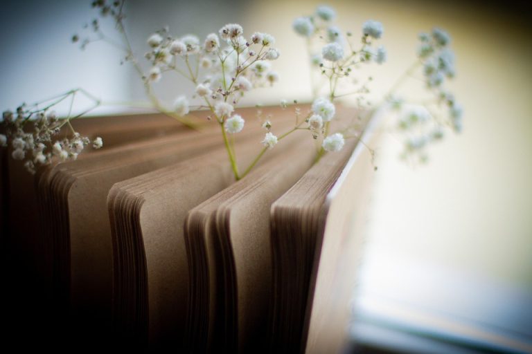 Best Of: Birch Bark Funnels, Firefly Lanterns, and Ambered Clay Dreams Best Of: Birch Bark Funnels, Firefly Lanterns, and Ambered Clay Dreams