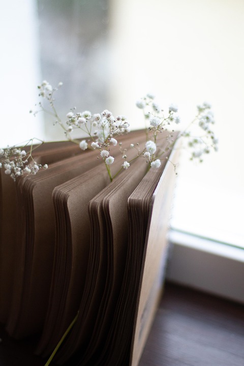 Poetic Guide to Weaving Moonlight Fibers