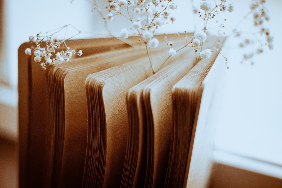 Symbolic Essay: Moss and Timber: Crafting Altars of Stillness