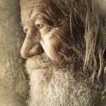 Symbolic Essay: The Earthworm’s Pilgrimage & Compact Soils’ Quiet Majesty