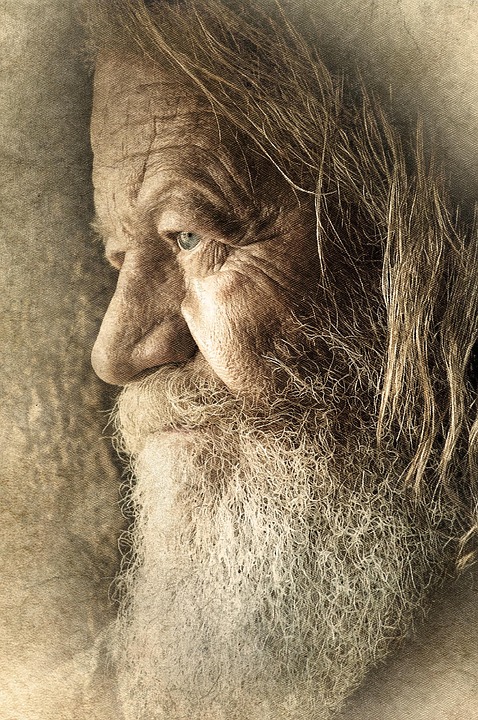 Symbolic Essay: The Earthworm’s Pilgrimage & Compact Soils’ Quiet Majesty