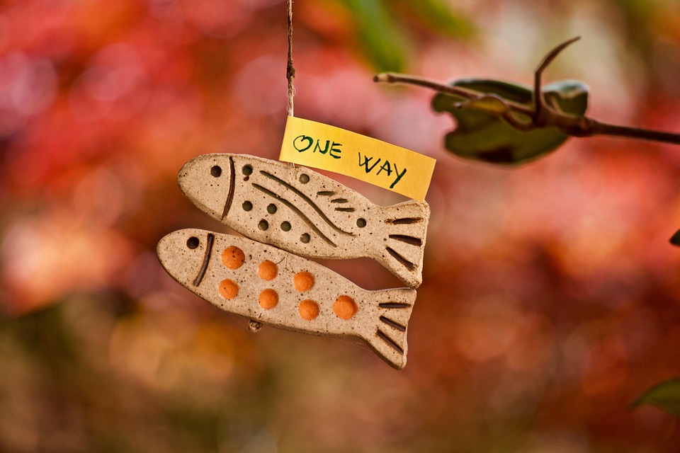 Best Of: Earthen Artistry in Every Bloom