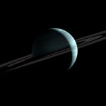 Eco How-To: Terraforming ledges Into Schoolled Gardens Eco How-To: Terraforming ledges Into Schoolled Gardens