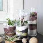 How to Make a Stunning Sand Art Terrarium